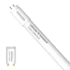 Noxion Tube LED T8 Avant (EM/Direct 230V) Standard Output 19W 2300lm - 830 Blanc Chaud | 150cm - Équivalent 58W